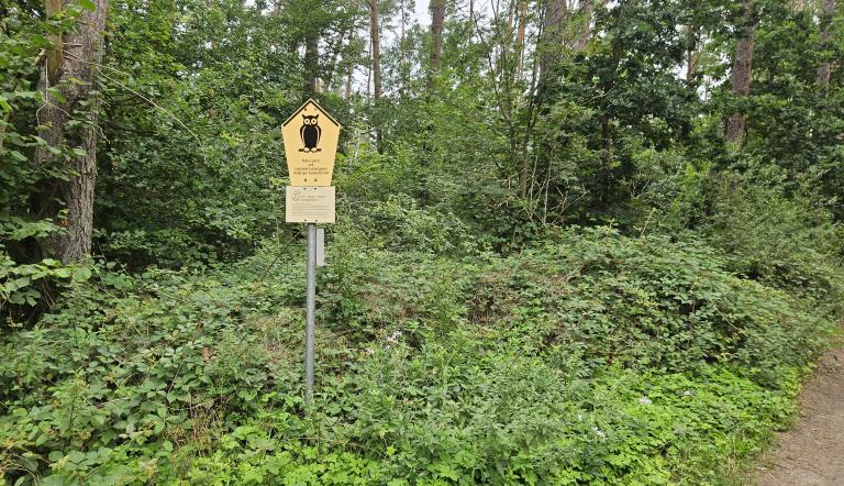 Foto: Ina Pokorny, Lizenz: Naturkundemuseum Potsdam