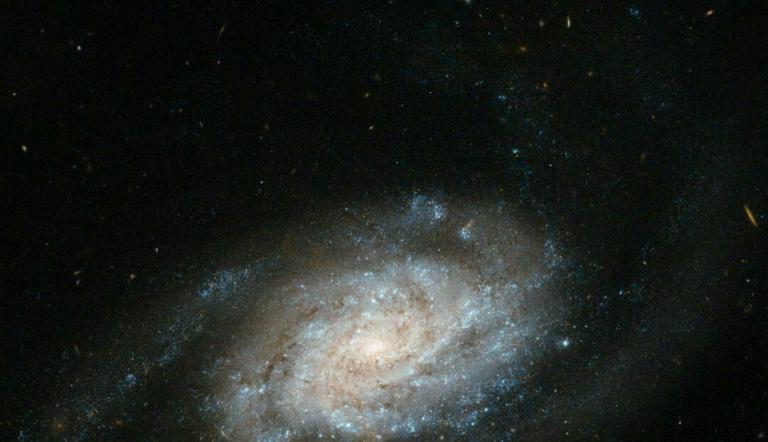 Die schönsten Sternbilder des Frühlings, Foto: NASA
