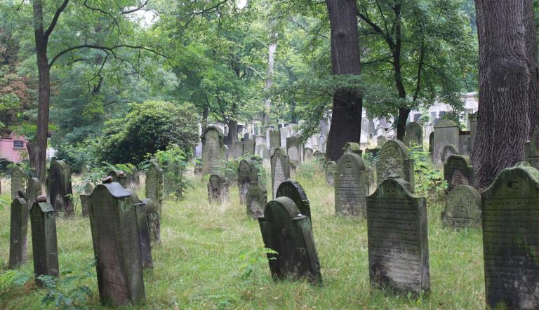 Der Jüdische Friedhof Potsdam, Foto: Anke Geißler-Grünberg, Lizenz: Förderverein Jüdischer Friedhof Potsdam