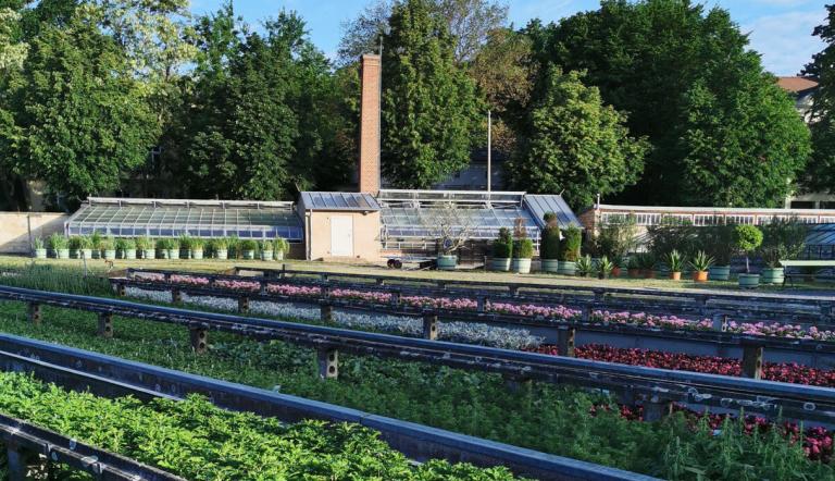 Neuer Garten, Foto: SPSG, Lizenz: SPSG