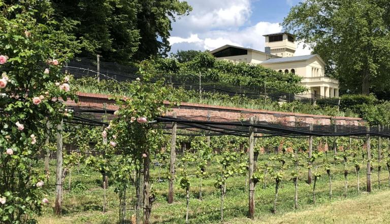 Weinfest im Park, Foto: Villa Jacobs, Lizenz: Villa Jacobs