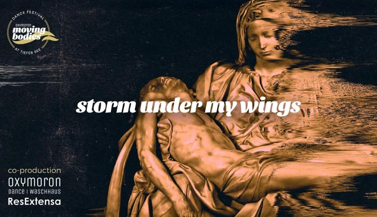 Storm under my Wings, Foto: Markus Bertuzzo