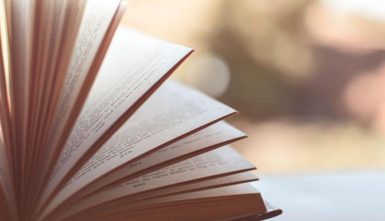 Fotoaufnahme eines Buches, Foto: Pixabay/Pexels