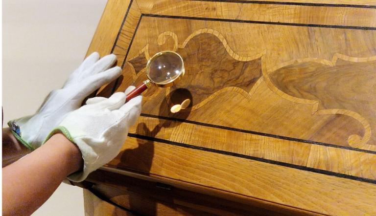 Führung Unter der Lupe , Foto: Potsdam Museum, Lizenz: Potsdam Museum