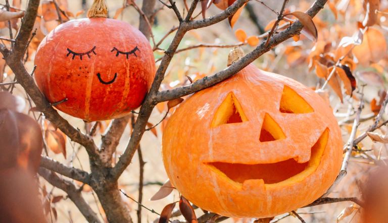 Foto: vecteezy, Lizenz: vecteezy