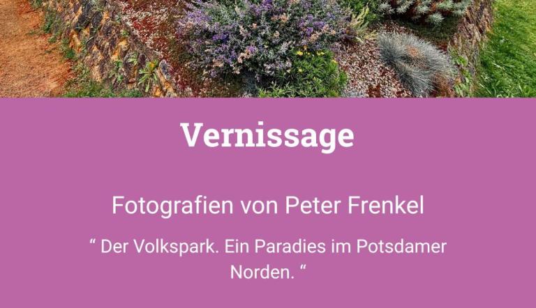 Vernissage Frenkel, Foto: Stadtteilarbeit Bornstedt, Lizenz: Stadtteilkoordination Bornstedt