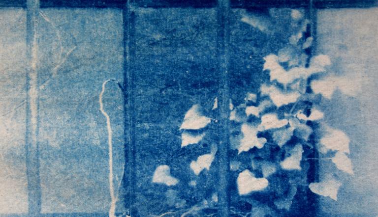 Neues Leben in Forst/Lausitz 2024/20255 , Foto: Uwe Paul Schulze, Lizenz: Uwe Paul Schulze Neues Leben in Forst/Lausitz 2024/20255 , Foto: Uwe Paul Schulze, Lizenz: Uwe Paul Schulze