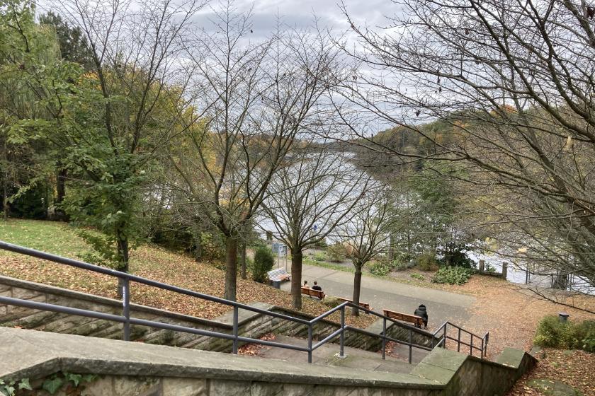 Eine Steintreppe, die hinab zum Uferweg des Griebnitzsees führt.