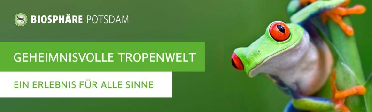 Banner der Biosphäre Potsdam mit einem Frosch.