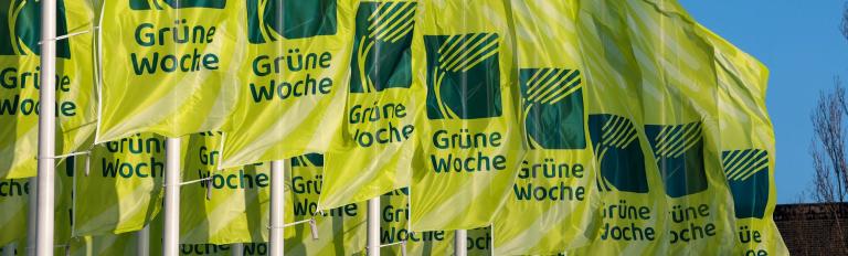 Hellgrüne Fahnen mit dem Logo der Grünen Woche vor dem Eingang Nord der Messe Berlin