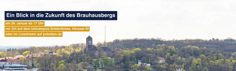 Brauhausberg aus der Luft